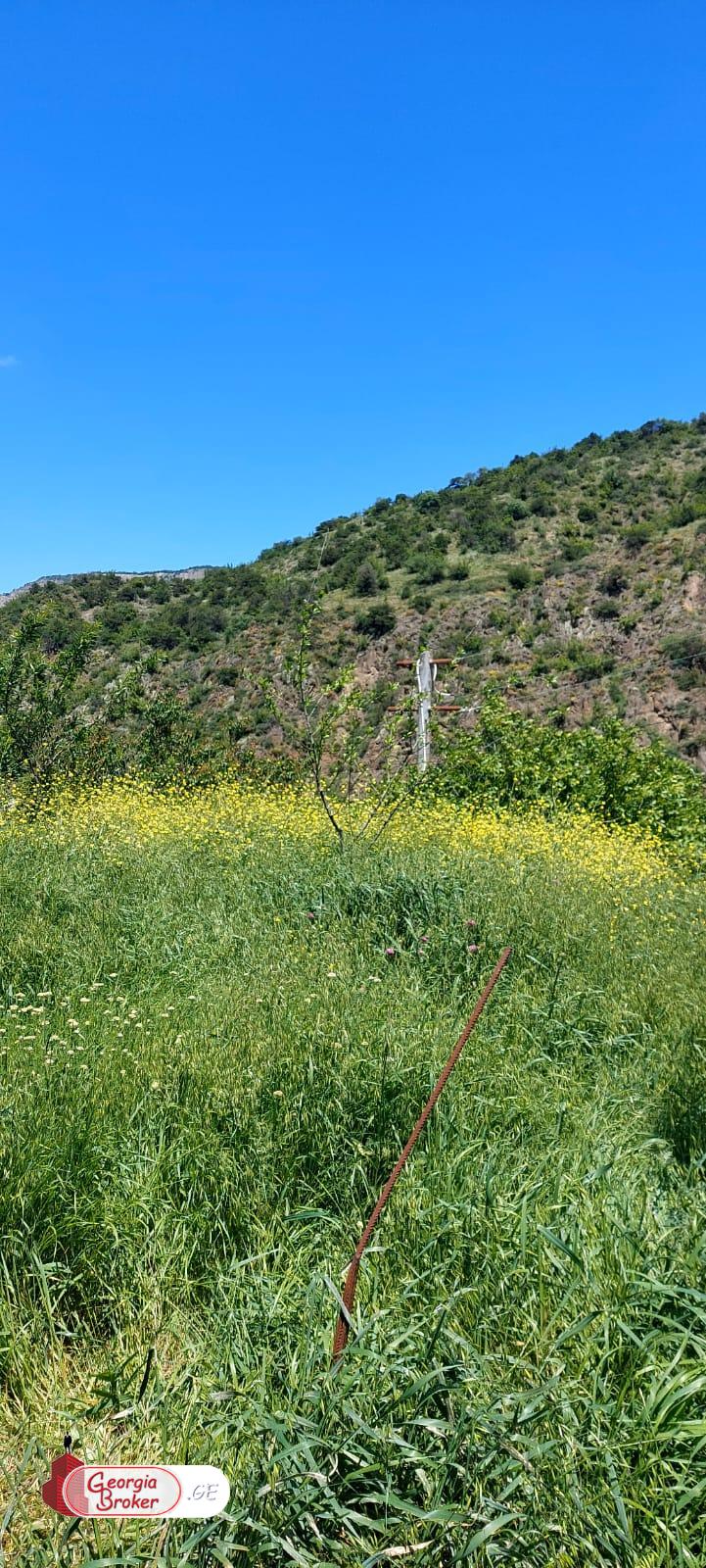 without repair 5-room house for sale